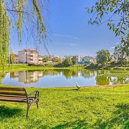 Apartment In With Terrace, Air Conditioning, Wi-fi Medulin